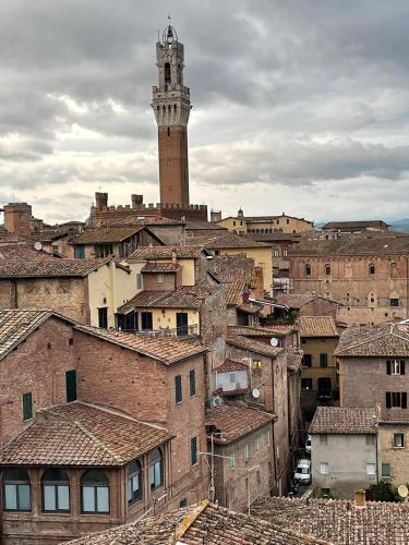  Peace Palace in Casiano