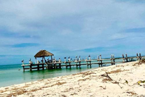 Beachfront apartment with swimming pool. One bedroom in Celestún, Mexico