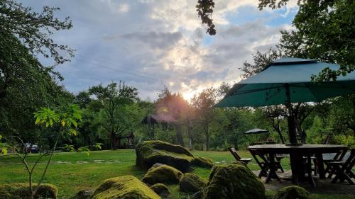 Ümbrus, Casa Bunicului in Vistisoara