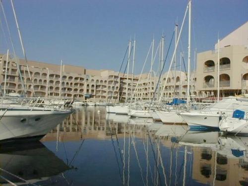Studio à Hyères Port avec loggia et parking - FR-1-335-187 - image 2