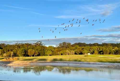 Sixty6 Acres Sunshine Coast farmstay