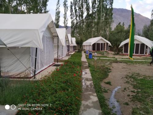 Lumbini Camp Hunder, Nubra Valley