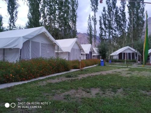 Lumbini Camp Hunder, Nubra Valley