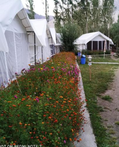 Lumbini Camp Hunder, Nubra Valley