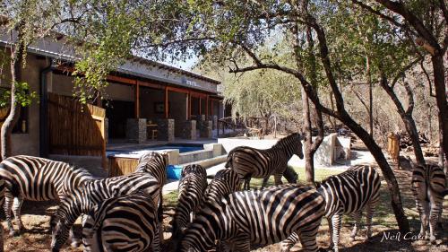 Dream of Africa Bush Lodge Kruger National Park