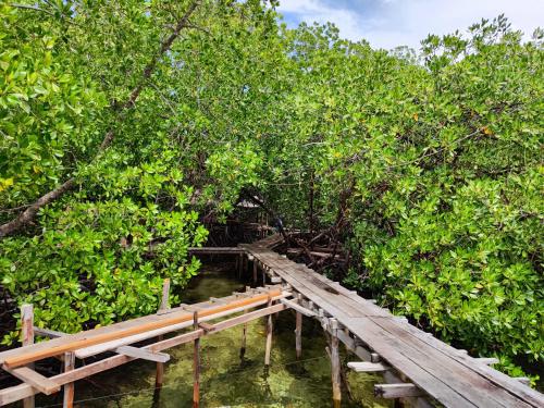 Alentours, Pesona Papua Homestay in Gam
