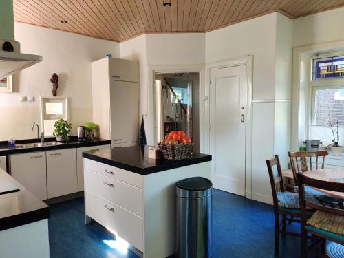  Ecolodge Directorsroom and Swimmingpool in Tilburg
