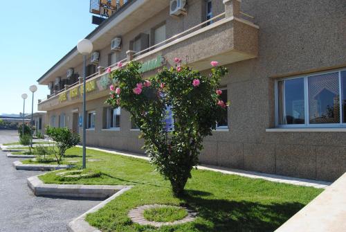 Accommodation in Darro