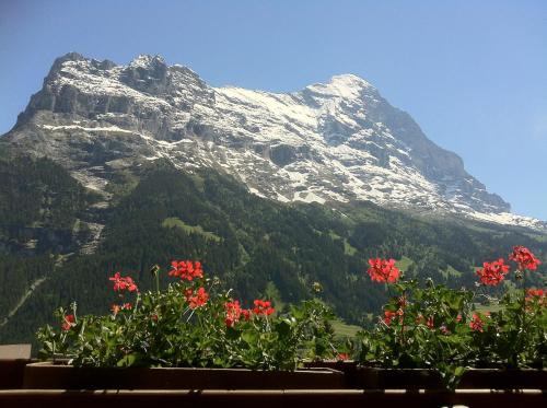 Small Double Room Eiger View