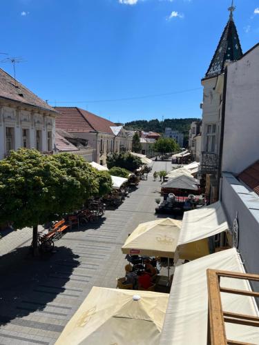W28 / Beethoven room near Pöstyéni repülőtér