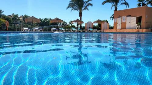 Dias al Sol A1- Dog Park