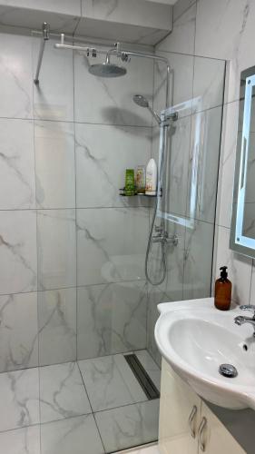 Studio Apartment image 6