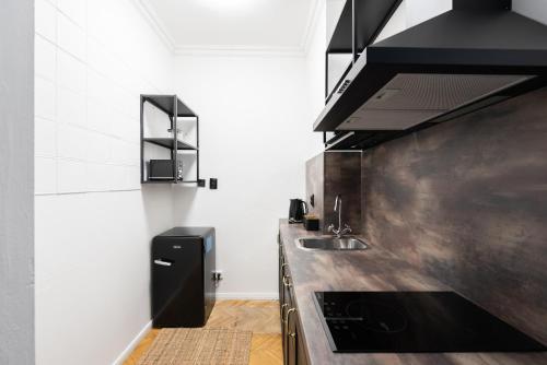 Crystal Studio Near The Old Town, Praga (foto 11)