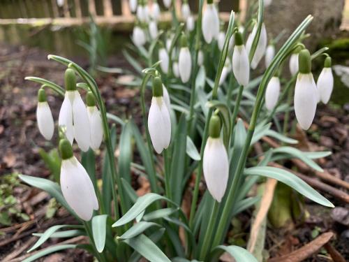 Agroturystyka Gęsiniec Stare Osieczno