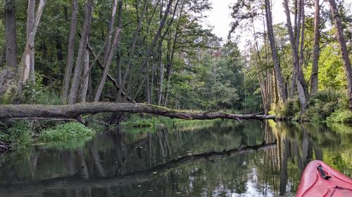 Agroturystyka Gęsiniec Stare Osieczno
