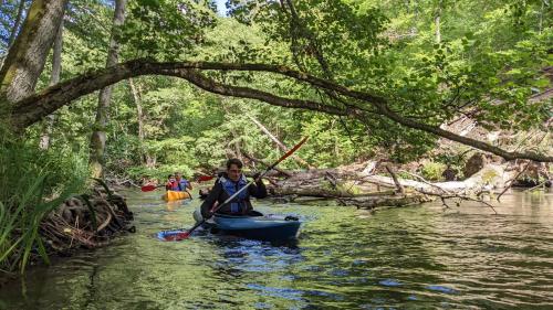 Agroturystyka Gęsiniec Stare Osieczno