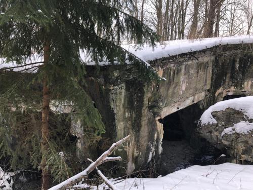 Agroturystyka Gęsiniec Stare Osieczno