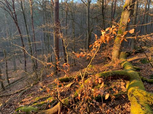 Agroturystyka Gęsiniec Stare Osieczno