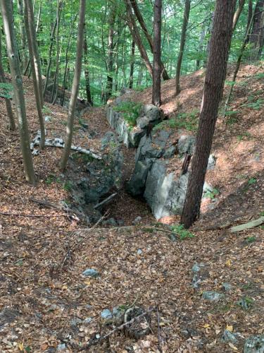 Agroturystyka Gęsiniec Stare Osieczno
