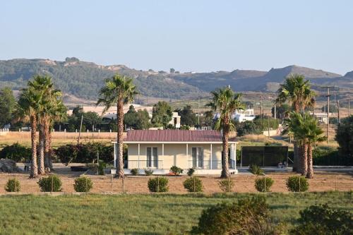 Beachlife: The Bungalow