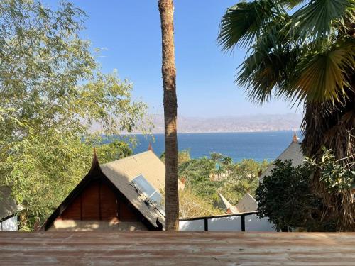 周邊環境, 埃拉特蘭花酒店 (Orchid Hotel Eilat) in 埃拉特海灘