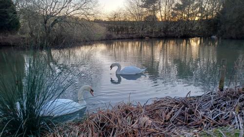 Stowe Fields