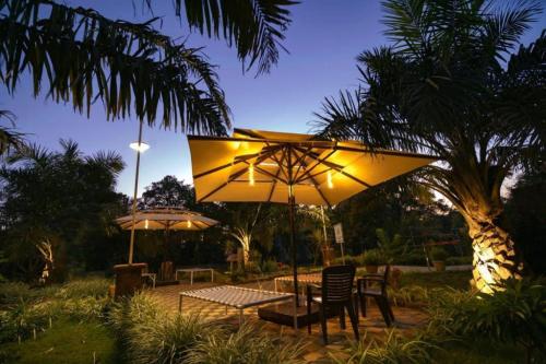 View, The Palmnest Resort, Kolhapur in Gaganbawda