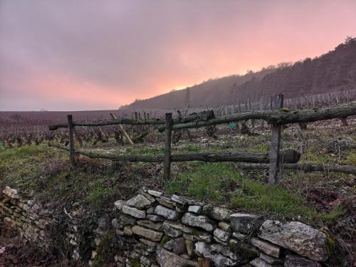 Domaine des Closeaux - image 11