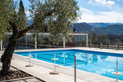 Swimming pool, Agriturismo La Cerra in Tivoli