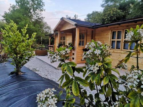 chalet 5/6 pers à 15 minutes des plages et baie de Douarnenez