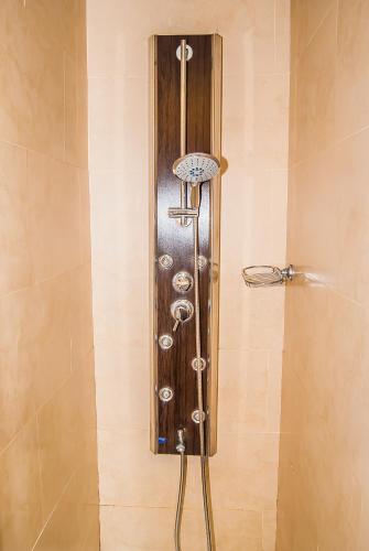 Ana María - image 13