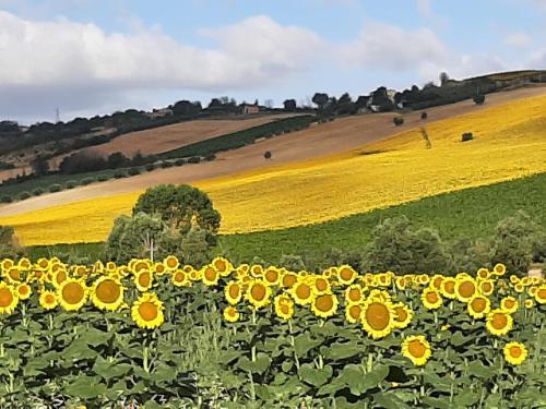 La Voce della Natura