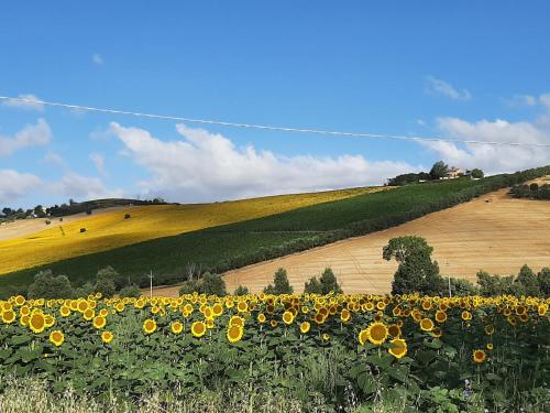 La Voce della Natura