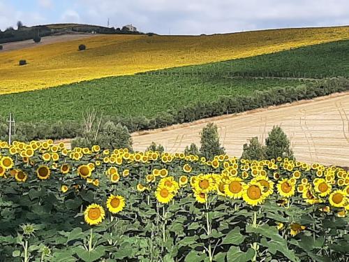 La Voce della Natura