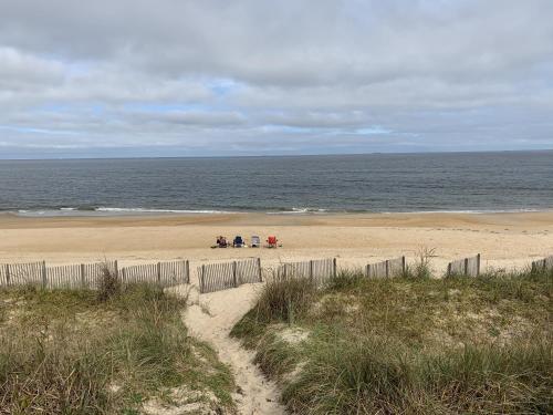 Beach Front on the Bay in our Rustic, Pet Friendly Cottage home in North Camellia Acres, USA