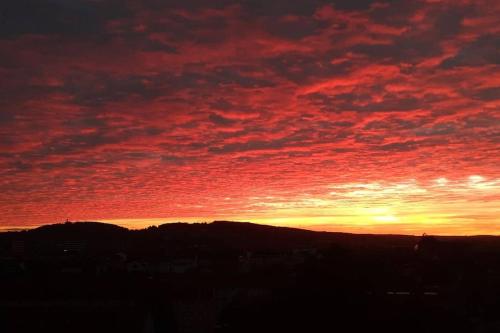 Bamberg auf einen Blick - Gemütliches Zimmer in der geteilten Wohnung eines freundlichen Paares