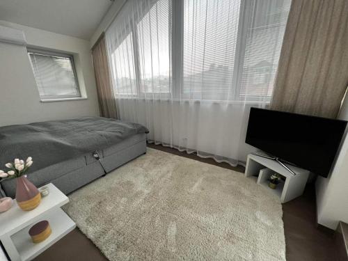 Apartmán Cartel