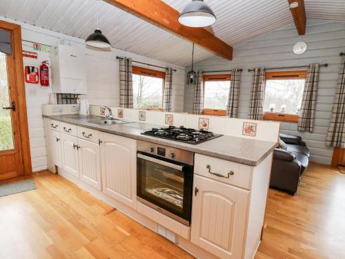 Snowy Owl Lodge - main image