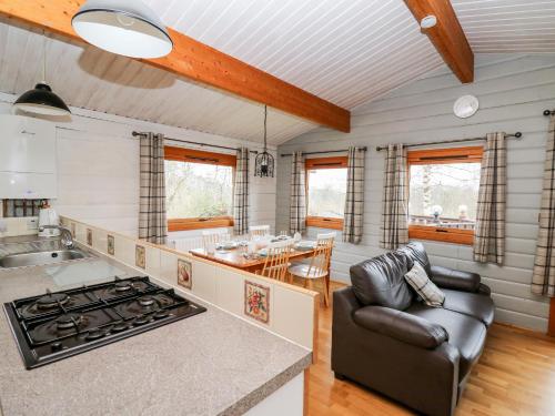 Snowy Owl Lodge - image 9