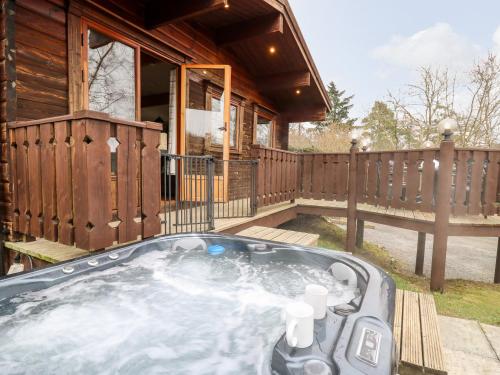 Snowy Owl Lodge - image 3