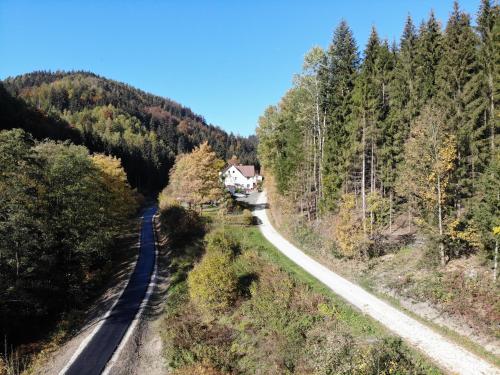 Waldpension Pfeiferhaus