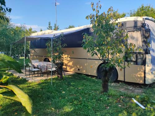 . terrebioBus