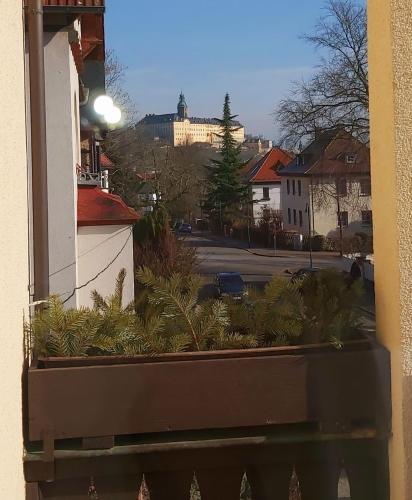 Schöne Altbauwohnung mit großer Sonnenterrasse - Apartment - Rudolstadt