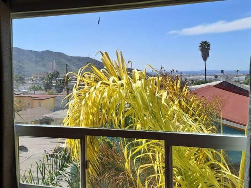 Departamento Orange in Ensenada