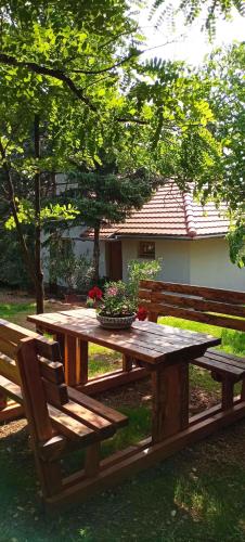 Garden, Holiday home in Pakozd - Velence-See 43968 in Oreghegy