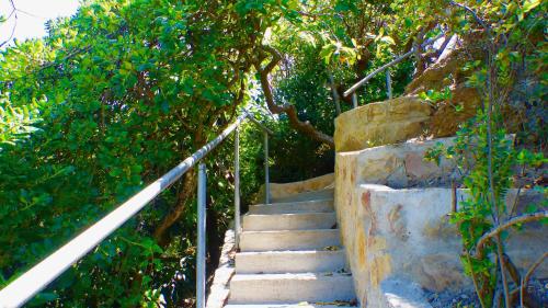 Ocean View Beachfront