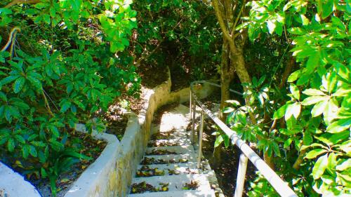 Ocean View Beachfront