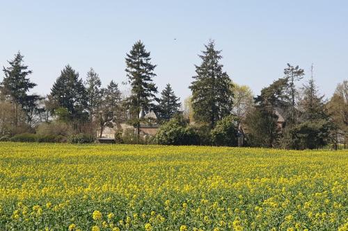 La Chauvelliere, un ecrin de verdure dans un cadre historique in Beaumont-la-Ronce