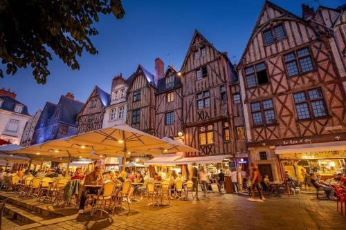 La Chauvelliere, un ecrin de verdure dans un cadre historique in Beaumont-la-Ronce
