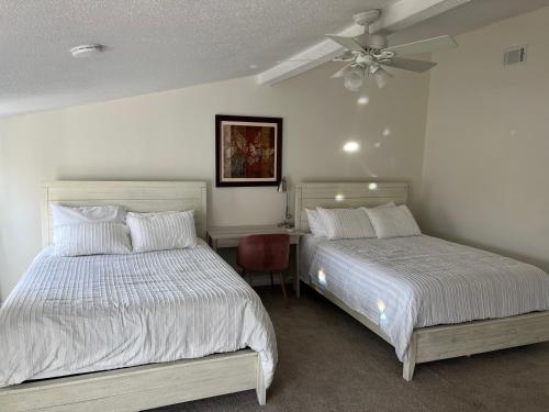 Large Bedroom With 2 Queen Bed - Not entire place